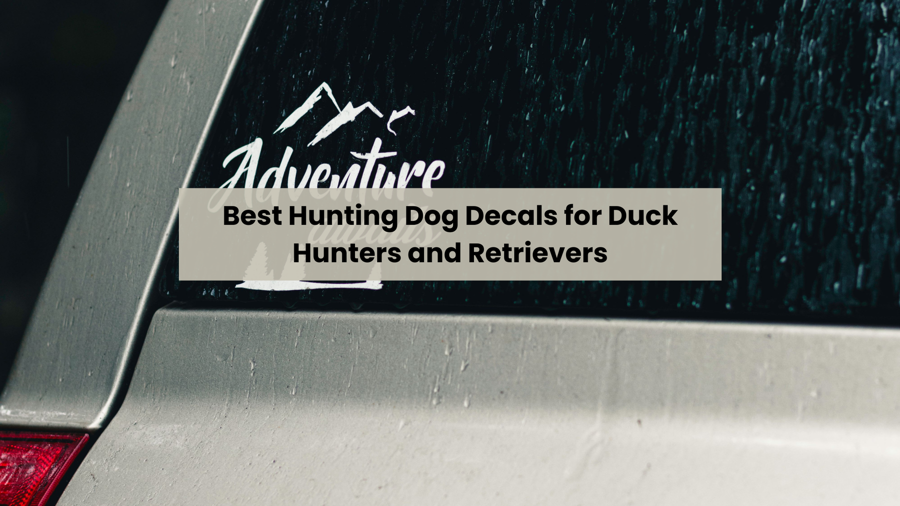 Best Hunting Dog Decals for Duck Hunters and Retrievers