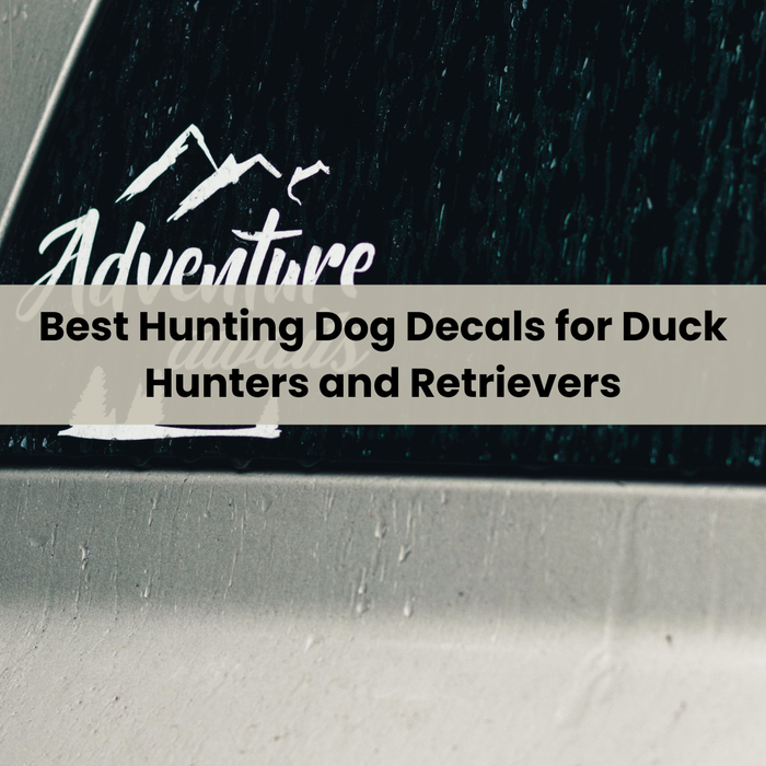 Best Hunting Dog Decals for Duck Hunters and Retrievers
