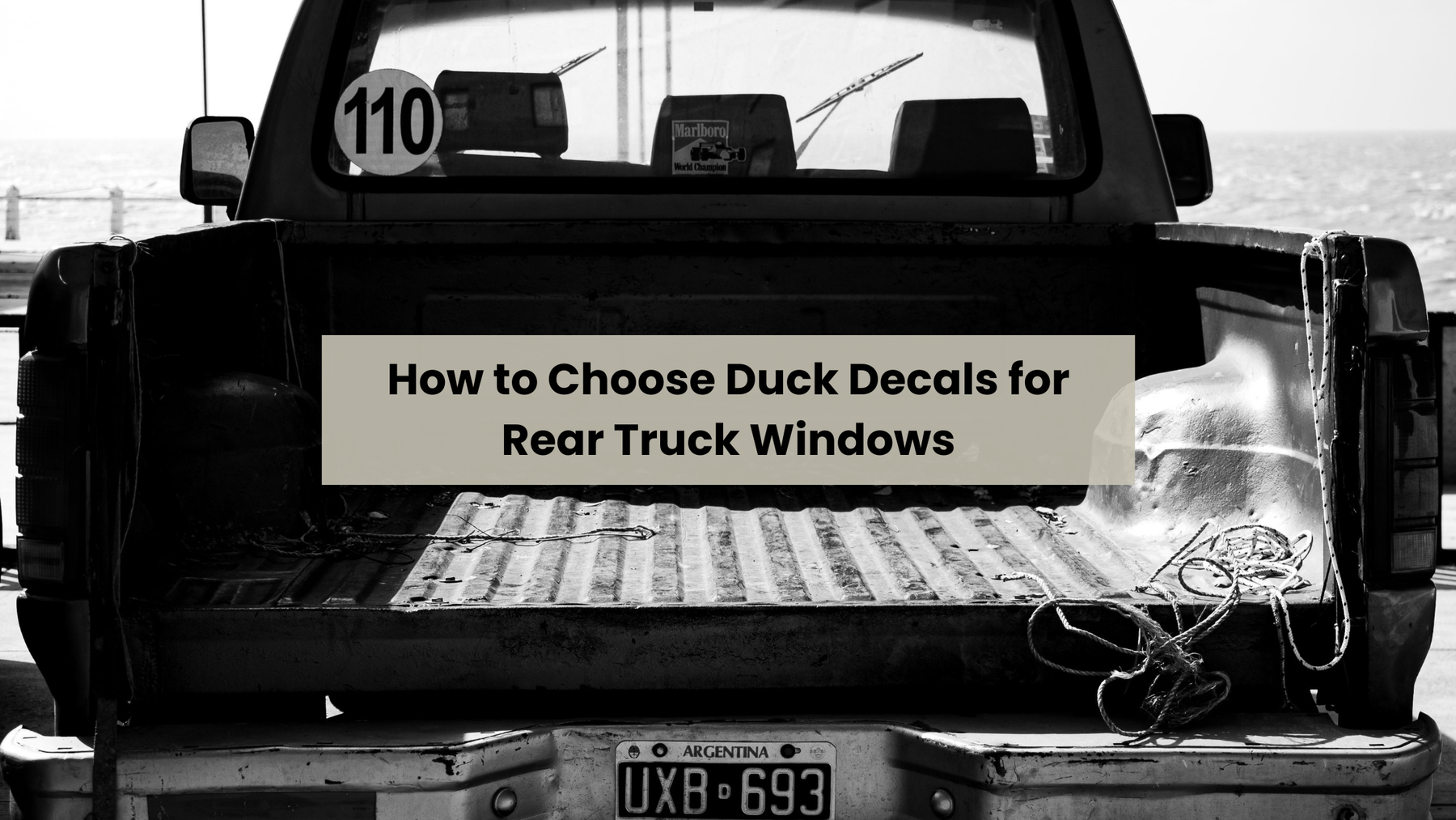 How to Choose Duck Decals for Rear Truck Windows