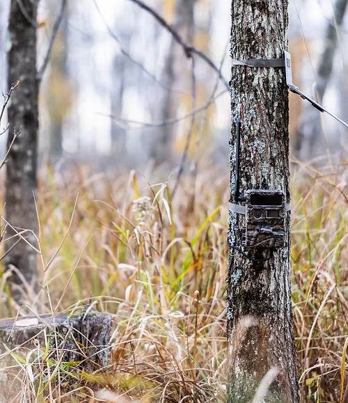 Yellowstone Trail Camera Camera – 4-Pack