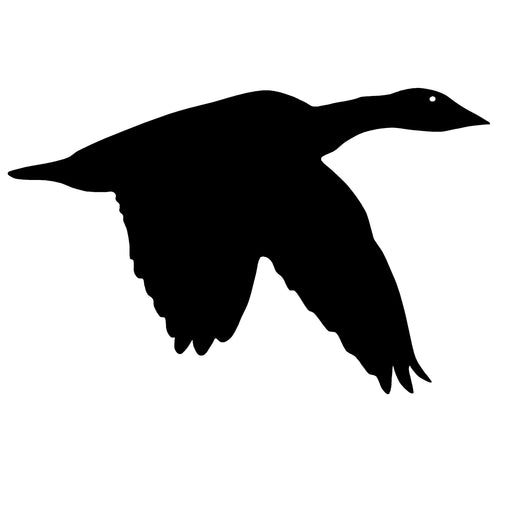 Snow Goose Taking Flight Decal
