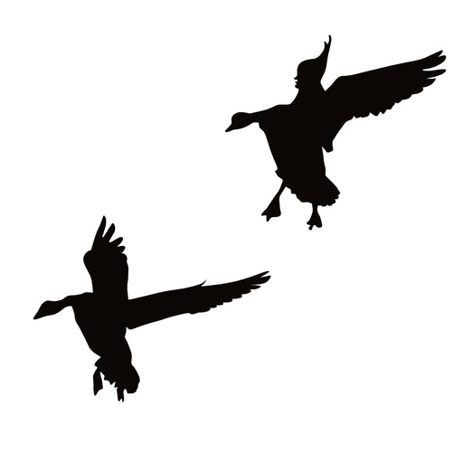 Geese Landing in Spread Window Decal - Geese Landing in Spread