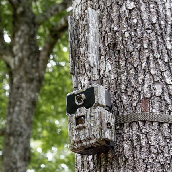 WiseEye Data Cam 2 No-Glow Cellular Trail Camera with Lithium Battery