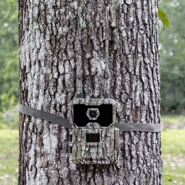 WiseEye Data Cam 2 No-Glow Cellular Trail Camera with Lithium Battery