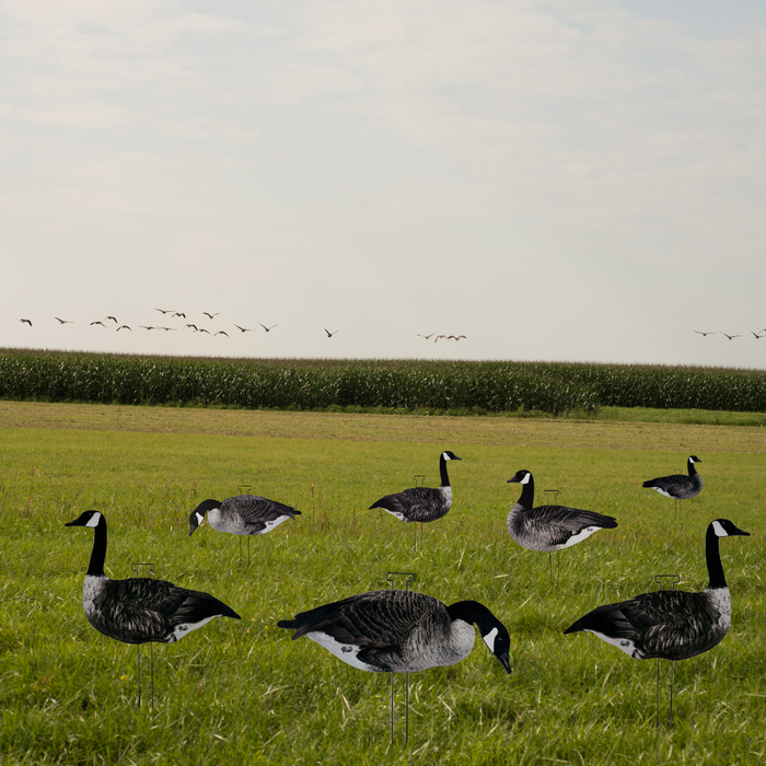 HuntEmUp Ultimate Flock-Stopper Silhouette Goose Decoys - Silhouette Goose Decoy Bundle