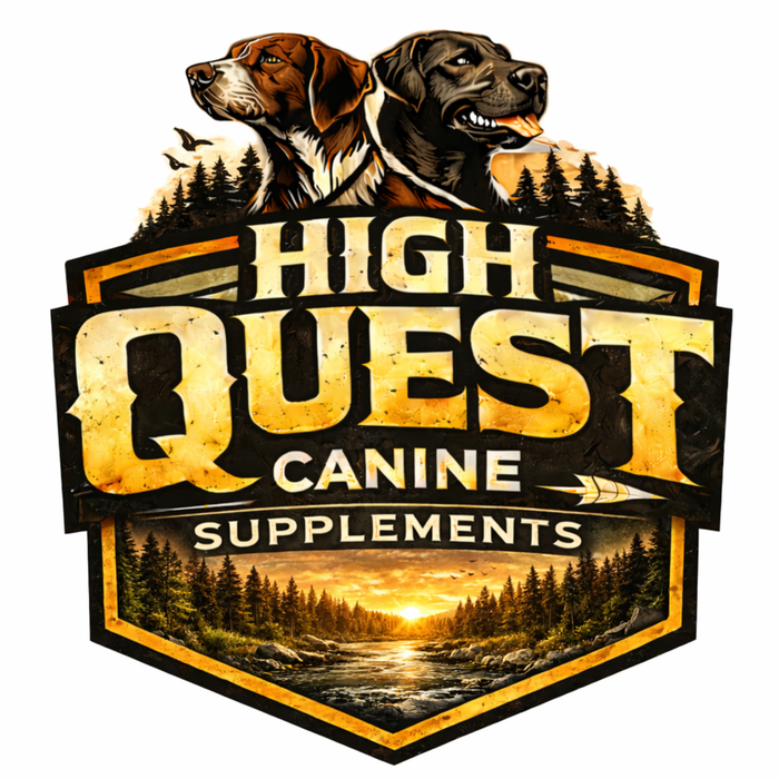 High Quest Canine Hip and Joint Supplement for Dogs