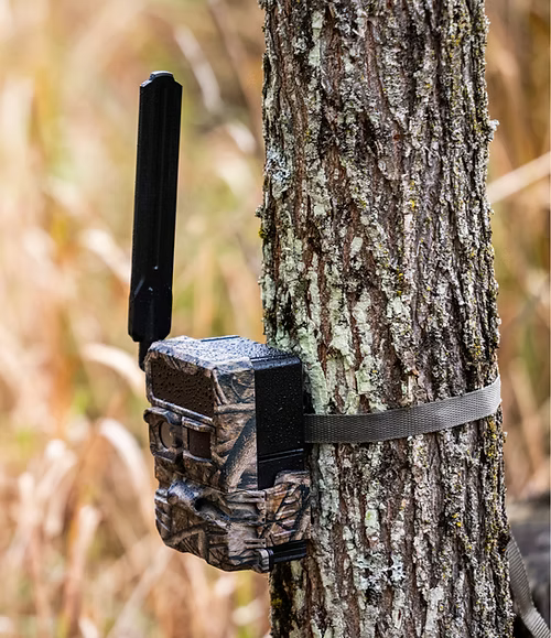 Yellowstone Trail Camera Camera – 4-Pack