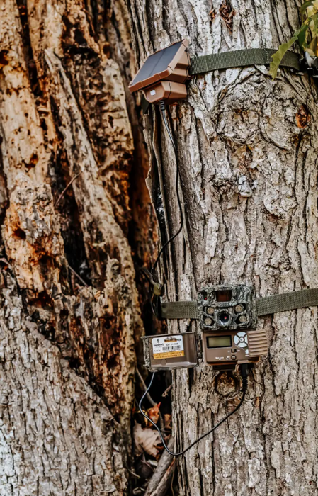 Browning Defender Vision Pro AI Double Trail Camera Bundle – Solar, 2×32GB SD & Reader Case