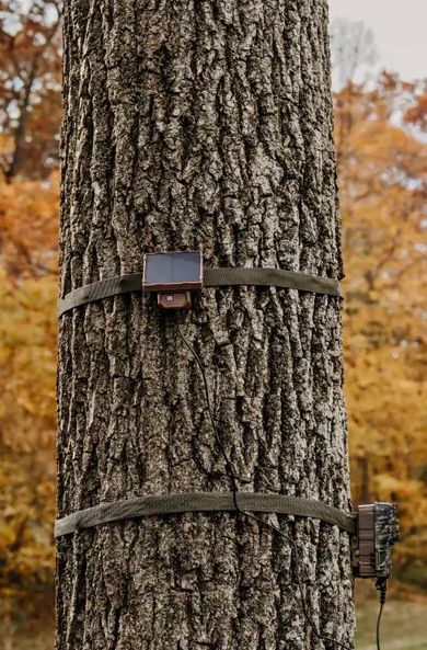 Browning Defender Pro Scout Max AI Trail Camera Bundle – Solar Panel, Universal Mount, 32GB SD Card & Reader