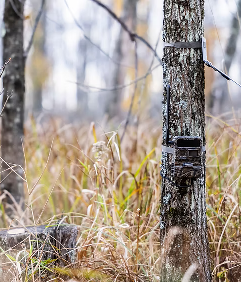 Yellowstone.ai Y2 Cellular Trail Camera Bundle with 5,000 mAh Battery Pack, SD Card & HuntEmUp Accessories