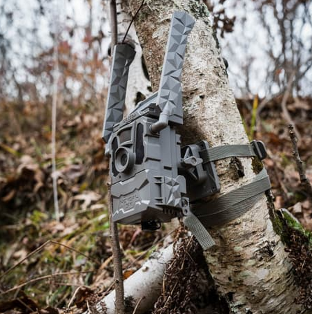 Tactacam Reveal Tree Mount - Trail Camera Tree Mount - Waterfowl Decals